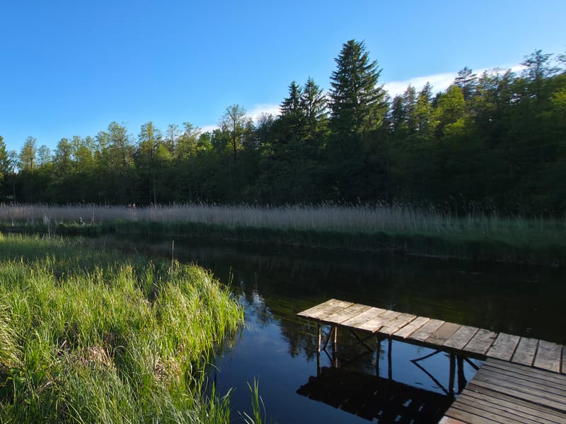Pomost nad prywatnym stawem otoczonym zielenią